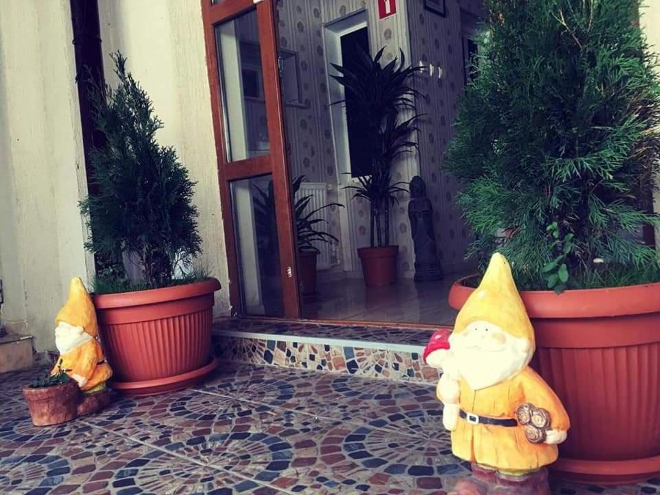 Pensiunea Pelican Tulcsa Kültér fotó